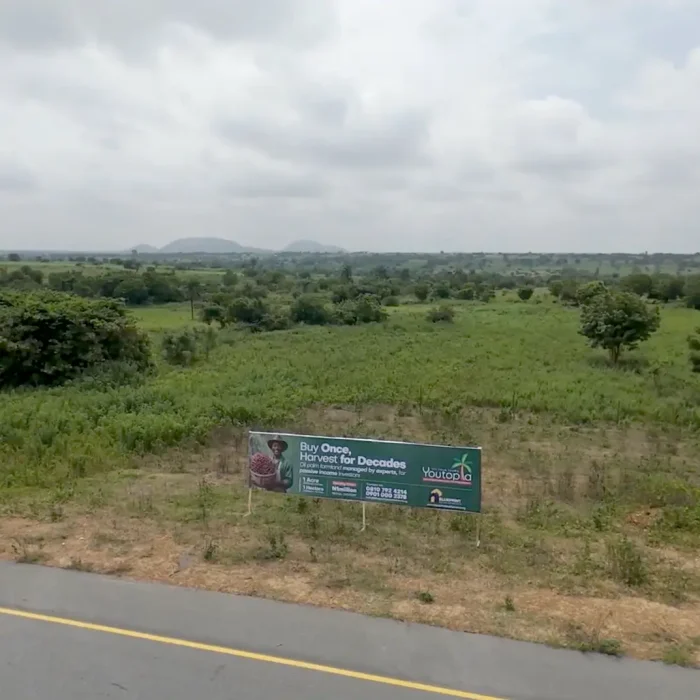 youtopia oil palm farms